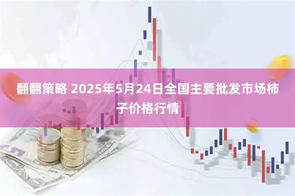 翻翻策略 2025年5月24日全国主要批发市场柿子价格行情